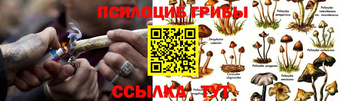Алатырь  Галлюциногенные грибы GOLDEN TEACHER  Галлюциногенные грибы ЛСД  Вход с VPN 